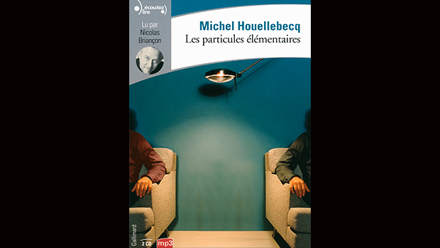 Les particules élémentaires