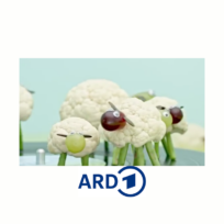 Das Erste – ARD