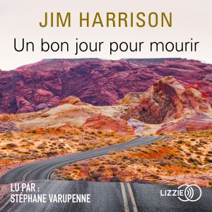 Un bon jour pour mourir