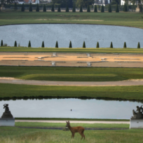 Rewild, la nature reprend ses droits