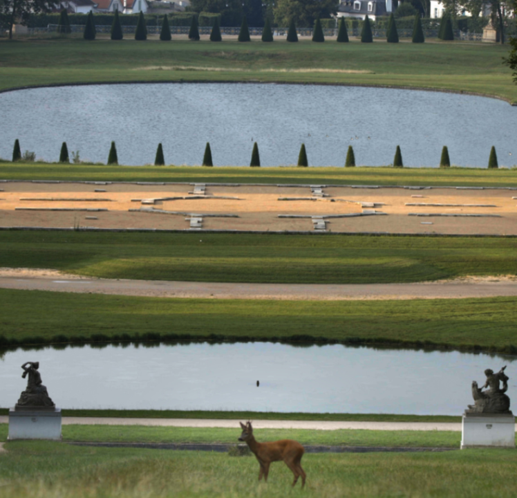 Rewild, la nature reprend ses droits