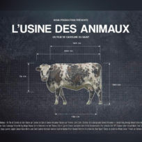 L&rsquo;usine des animaux.