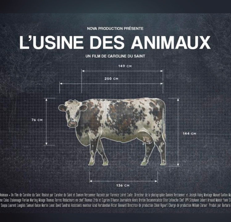 L&rsquo;usine des animaux.